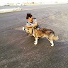 محمد الولي