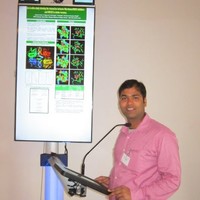 Himanshu Narayan Singh, Ph.D.