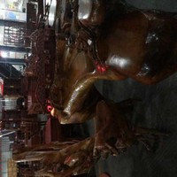 郑志雄