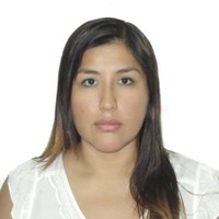 Candy Choquimaqui Meza