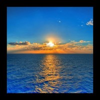 Life Insurance Revolutionized