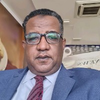 hamdi abdein