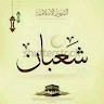 Md Shabaan Ansari