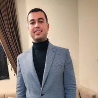 Mahmoud Amer