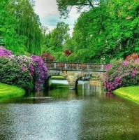 Renad Alrousan  CHE,IE, BE