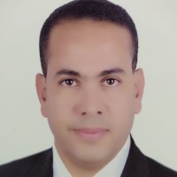 ayman ezzat