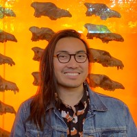 Johnny Nguyen