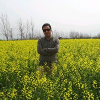 Ehsan Borhani