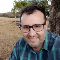 Henrique Delfino De Paula