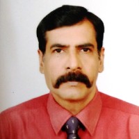Rajarajan M