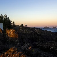 Sandra Yaya