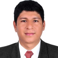 Luis Fernando Flores Vega