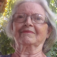 Ana Valeria Ayres Vieira