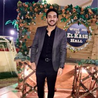 Walid Tarek