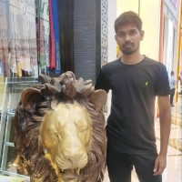 DineshKumar K