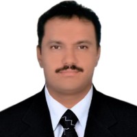 Vijayan N