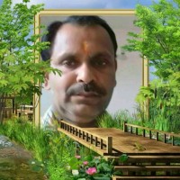 Sharad Kumar Dwivedi