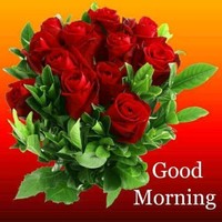 Eshan Bhatia