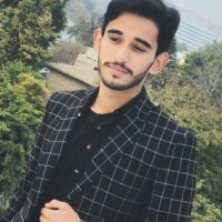 Wajih Ul Hassan Abbasi