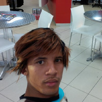 Wayne Willemse