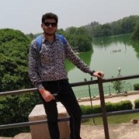 Vansh Gaur