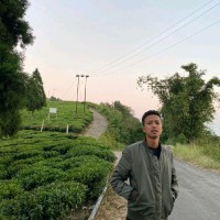Ashwin limbu