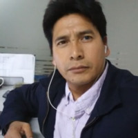 Luis Albert Barcena Sulca