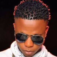 Youngking Cloricent