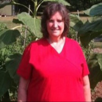 Kathi Glenn