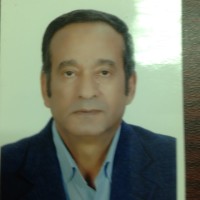 Ezzat Amin