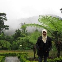 Indri Herdianti