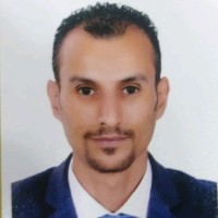 Mohamed Elhamamsy