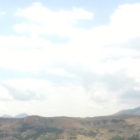 Gonca Şanlı