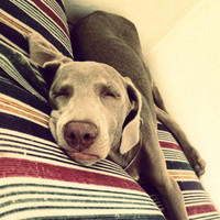 Monostudio Monostudio