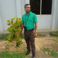Hasan Hoque