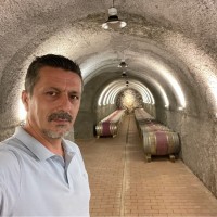 Ethem Tolga Yalçın