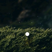 Simion Mandacan Siman