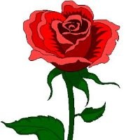 Vsqaon24 Lnon24