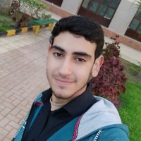 Walid Badr