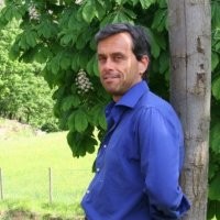 maurizio furio