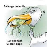 Ulmar Timanssvik