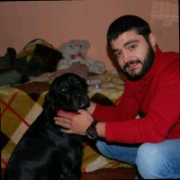 Oğulcan Yüksel