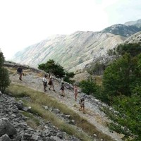 Ljubica Jokić Bojović