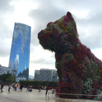 Rafa Echarri Arrieta