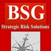 BSG LLC
