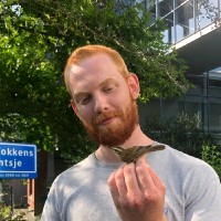 Abe Bakker