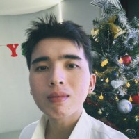 Duc Minh Phan