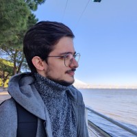 João Novo