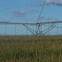 Carlos Stirling Estigarribia