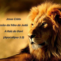 hercules antonio